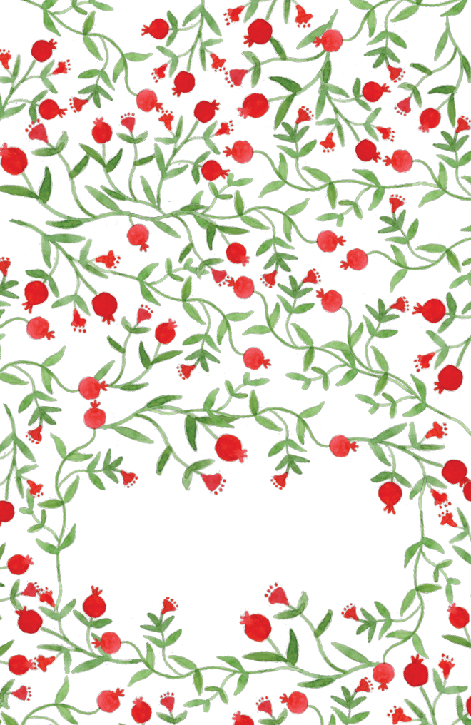 Pomegranate Place Cards (pack of 12)